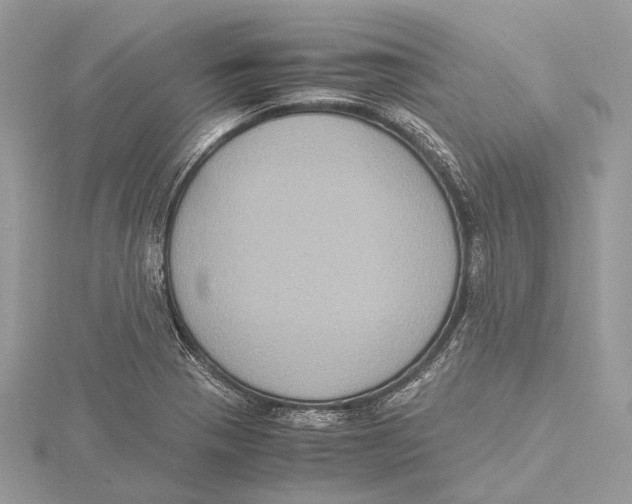 X0000115441321200912020937