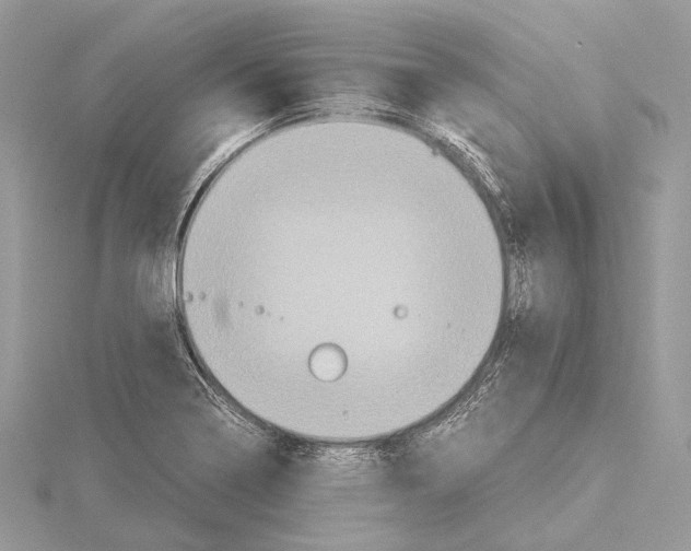 X0000115441322200912020937