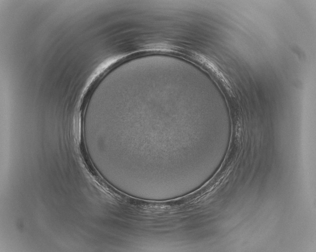 X0000115441323200912020937