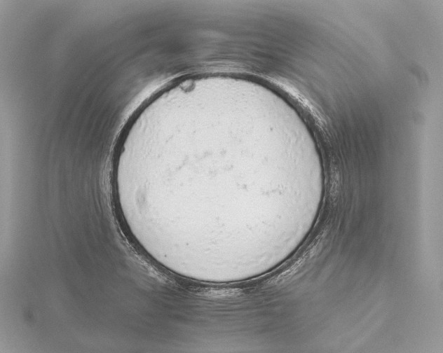 X0000115441325200912020937