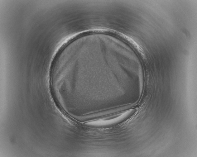 X0000115441327200912020937