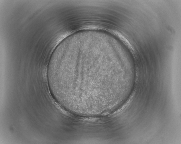 X0000115441329200912020937