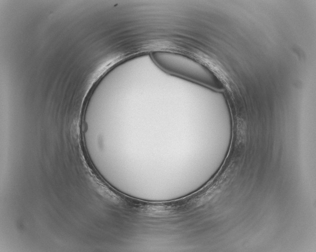 X0000115441330200912020937