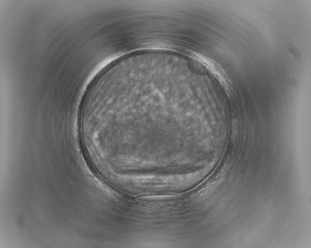 X0000115441331200912020937