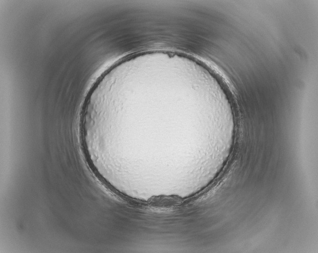 X0000115441333200912020937