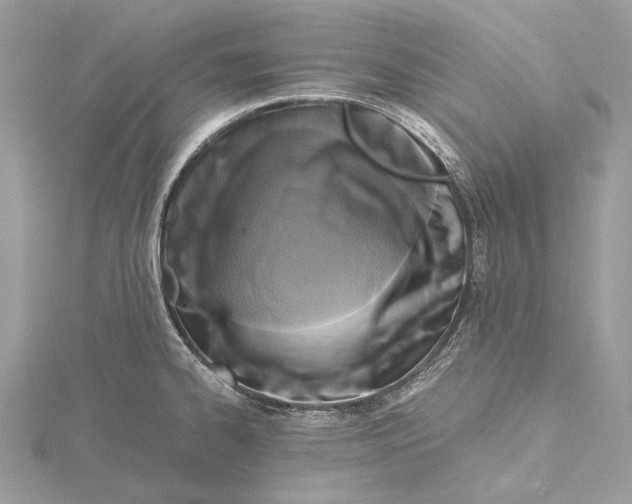 X0000115441334200912020937