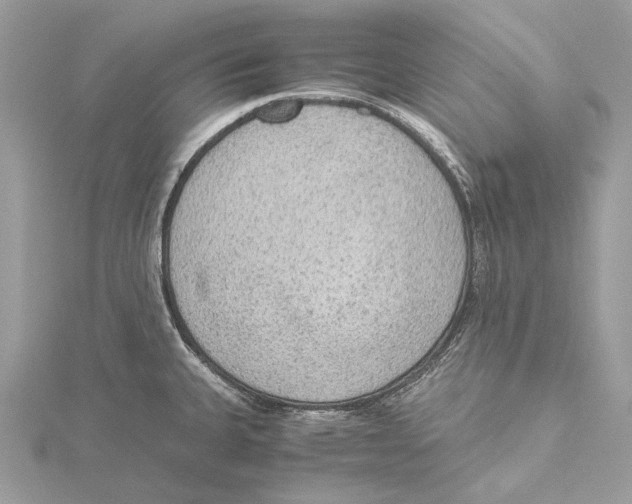 X0000115441335200912020937