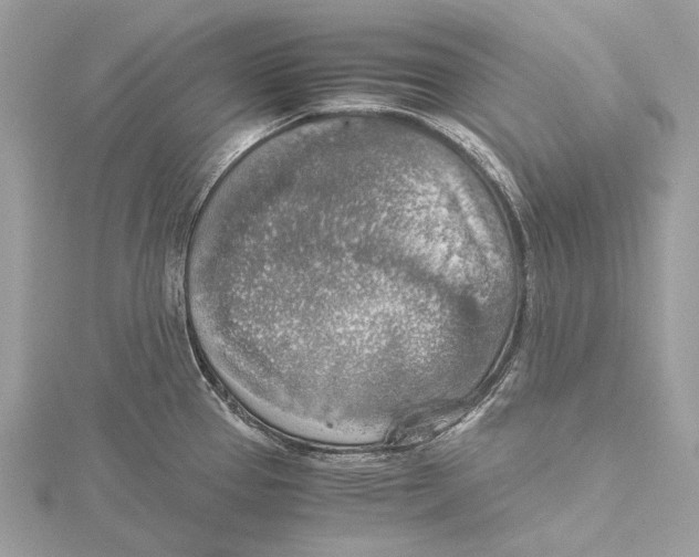 X0000115441337200912020937