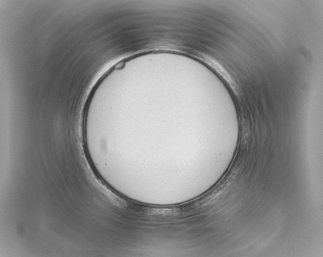 X0000115441339200912020937