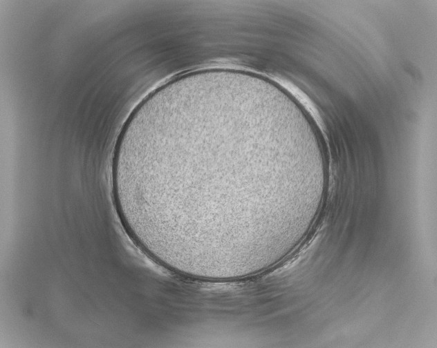 X0000115441341200912020937