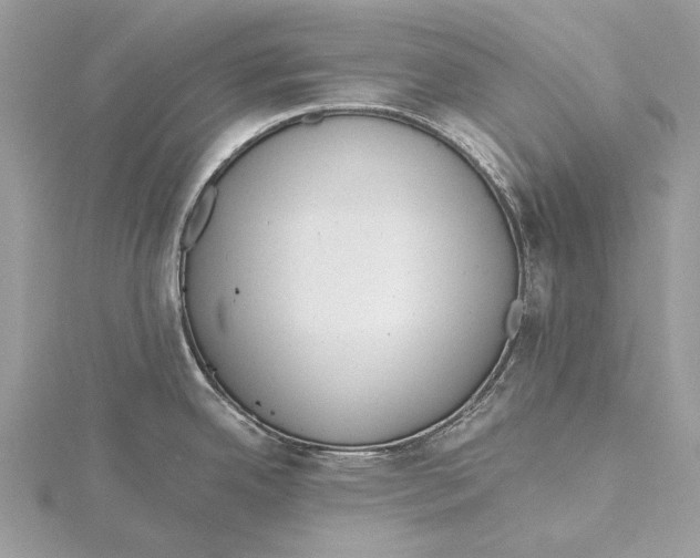 X0000115441342200912020937