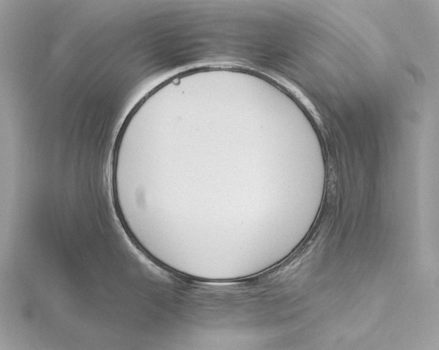 X0000115441343200912020937