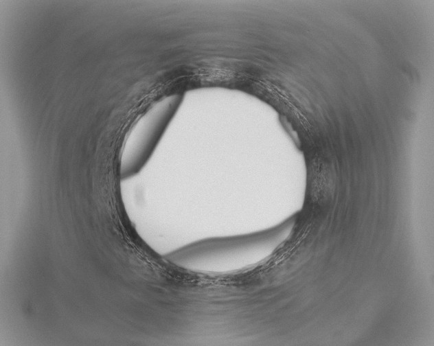 X0000115441345200912020936