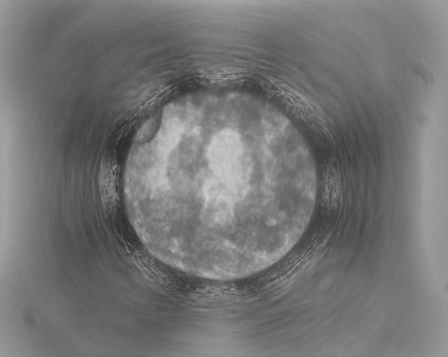 X0000115441346200912020936