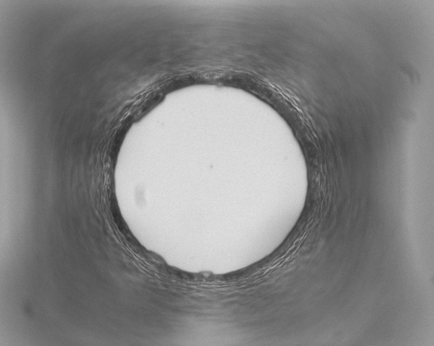 X0000115441349200912020936