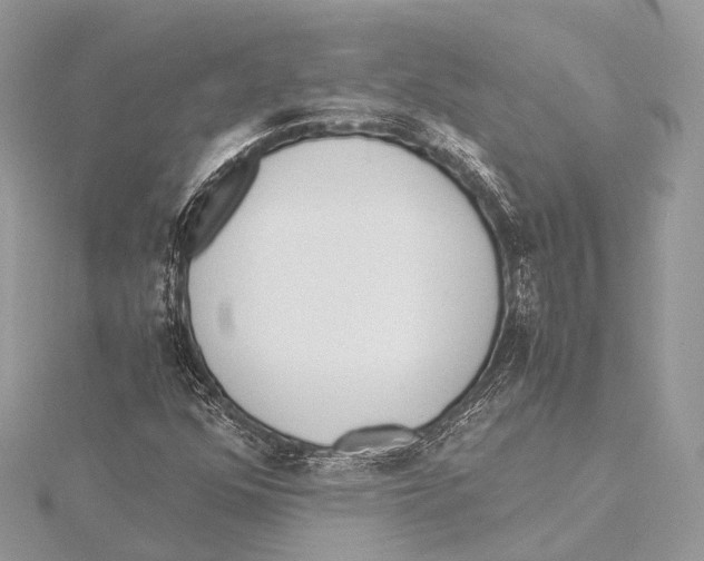 X0000115441352200912020936