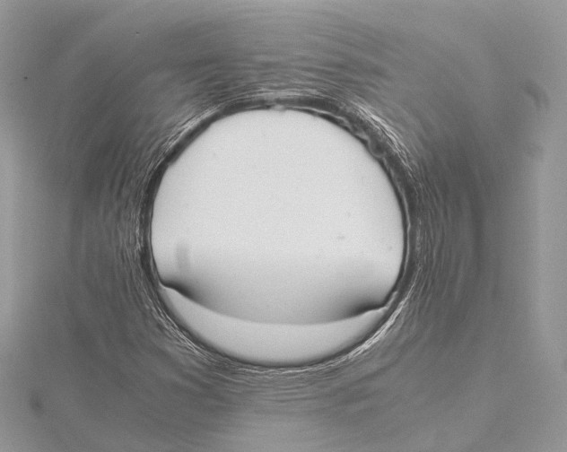 X0000115441353200912020936