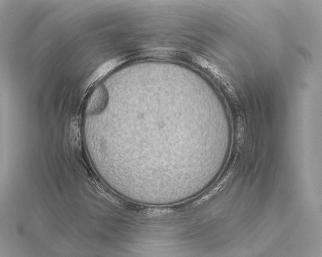 X0000115441354200912020936