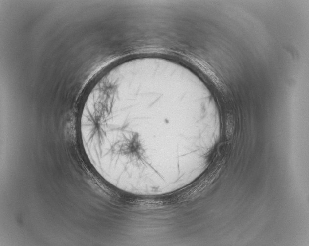 X0000115441356200912020936