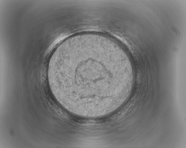 X0000115441359200912020936