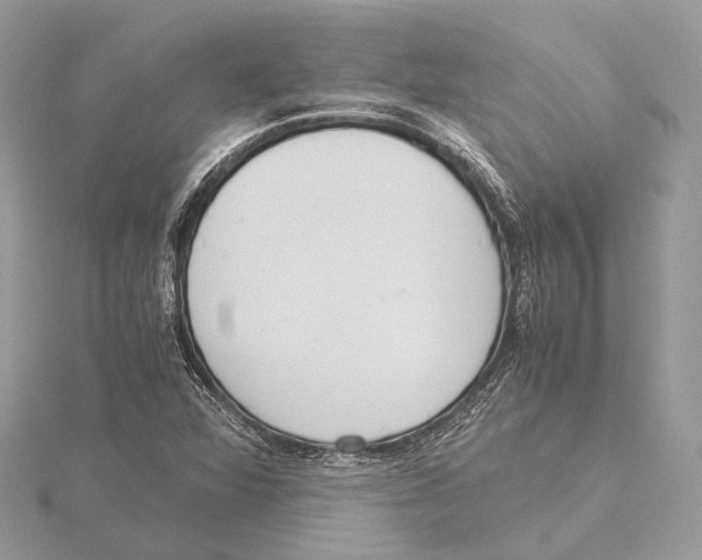 X0000115441360200912020936