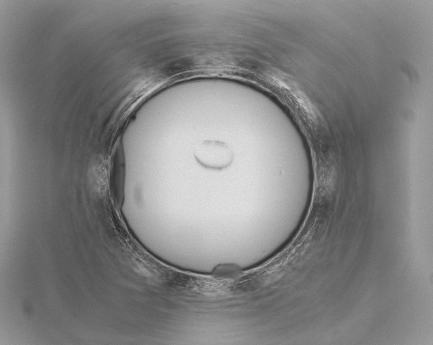 X0000115441361200912020936