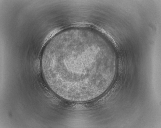 X0000115441362200912020936