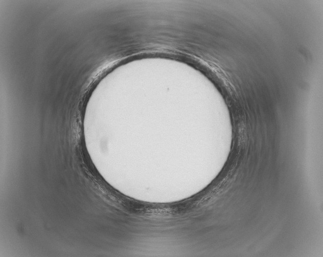 X0000115441363200912020936