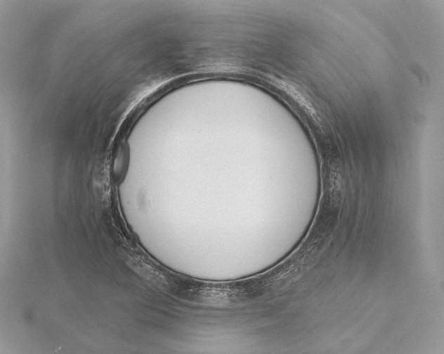 X0000115441364200912020936