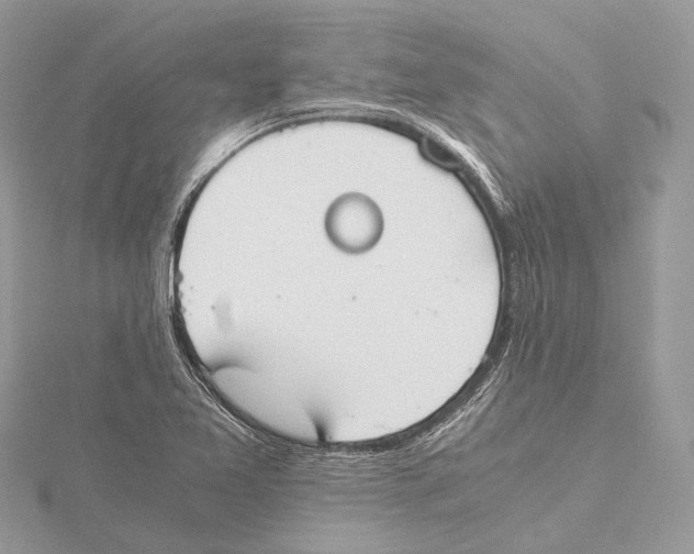 X0000115441365200912020936