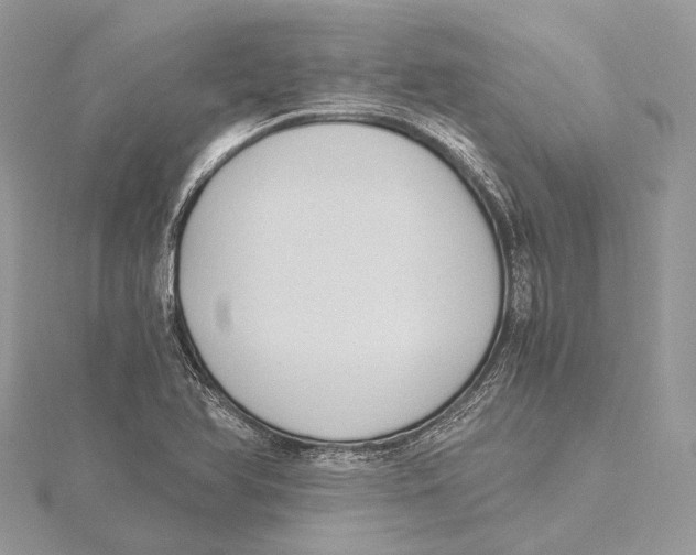 X0000115441366200912020936