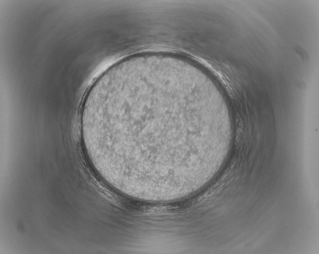 X0000115441367200912020936