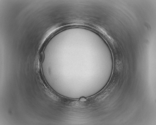 X0000115441368200912020936