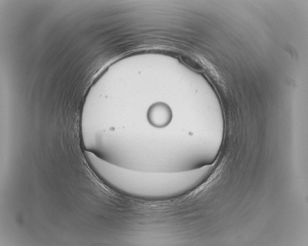 X0000115441369200912020936