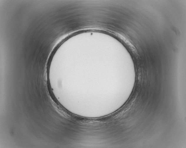 X0000115441372200912020936