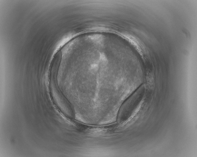 X0000115441373200912020936