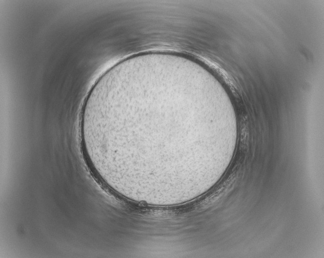 X0000115441375200912020936