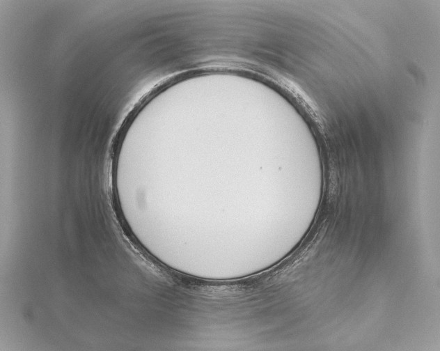 X0000115441376200912020936