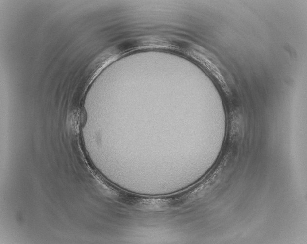 X0000115441377200912020936