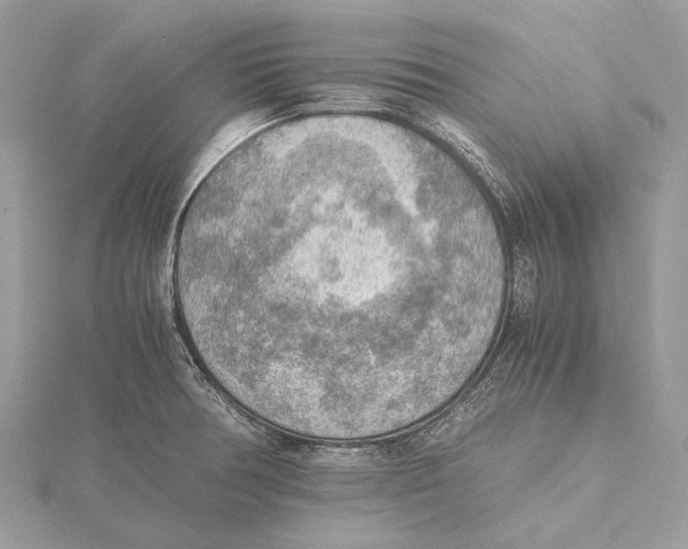 X0000115441378200912020936