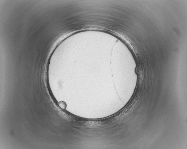 X0000115441379200912020936