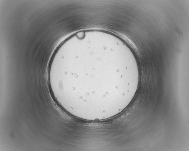 X0000115441380200912020936