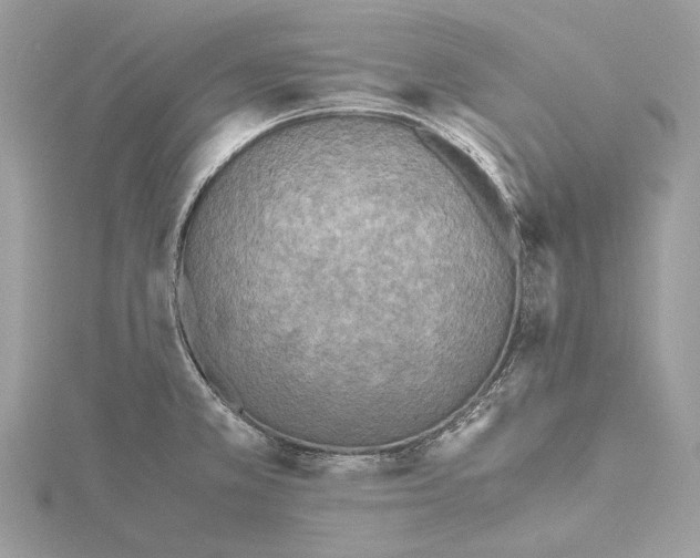 X0000115441381200912020936