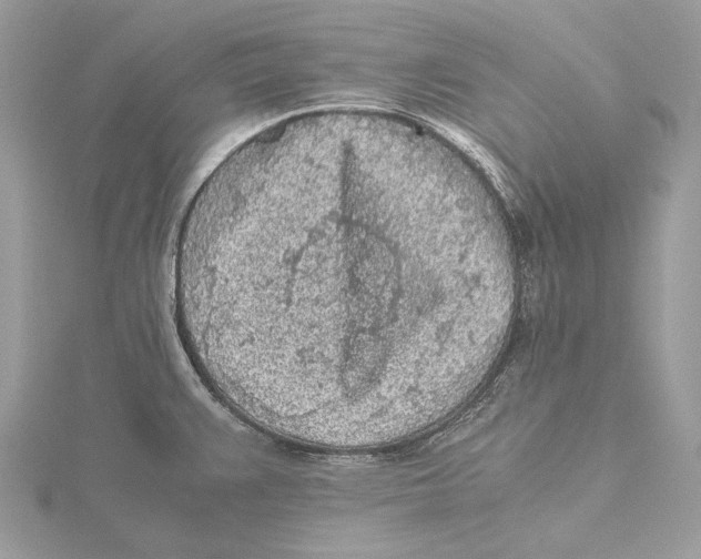 X0000115441383200912020936