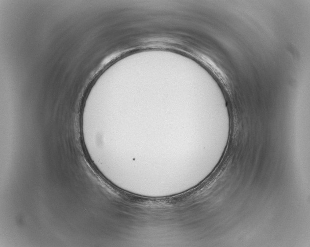 X0000115441384200912020936