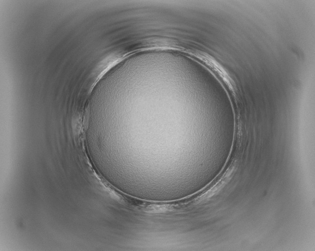 X0000115441385200912020936