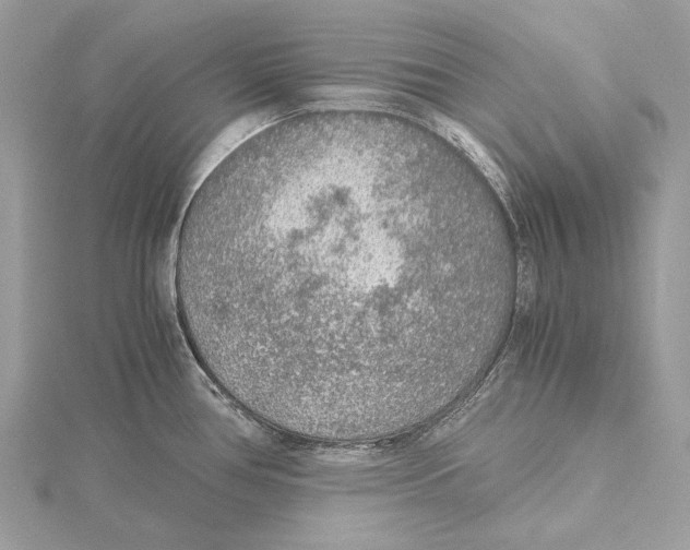 X0000115441386200912020936