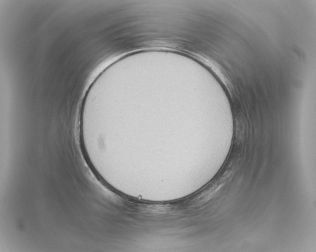 X0000115441387200912020936