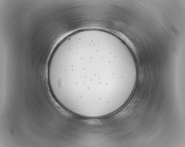 X0000115441388200912020936