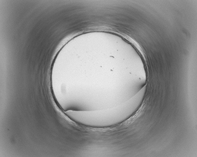 X0000115441389200912020936